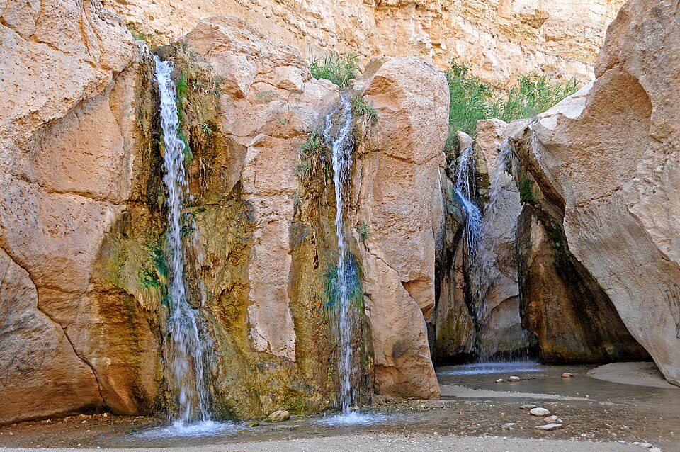 Tamerza Canyon
