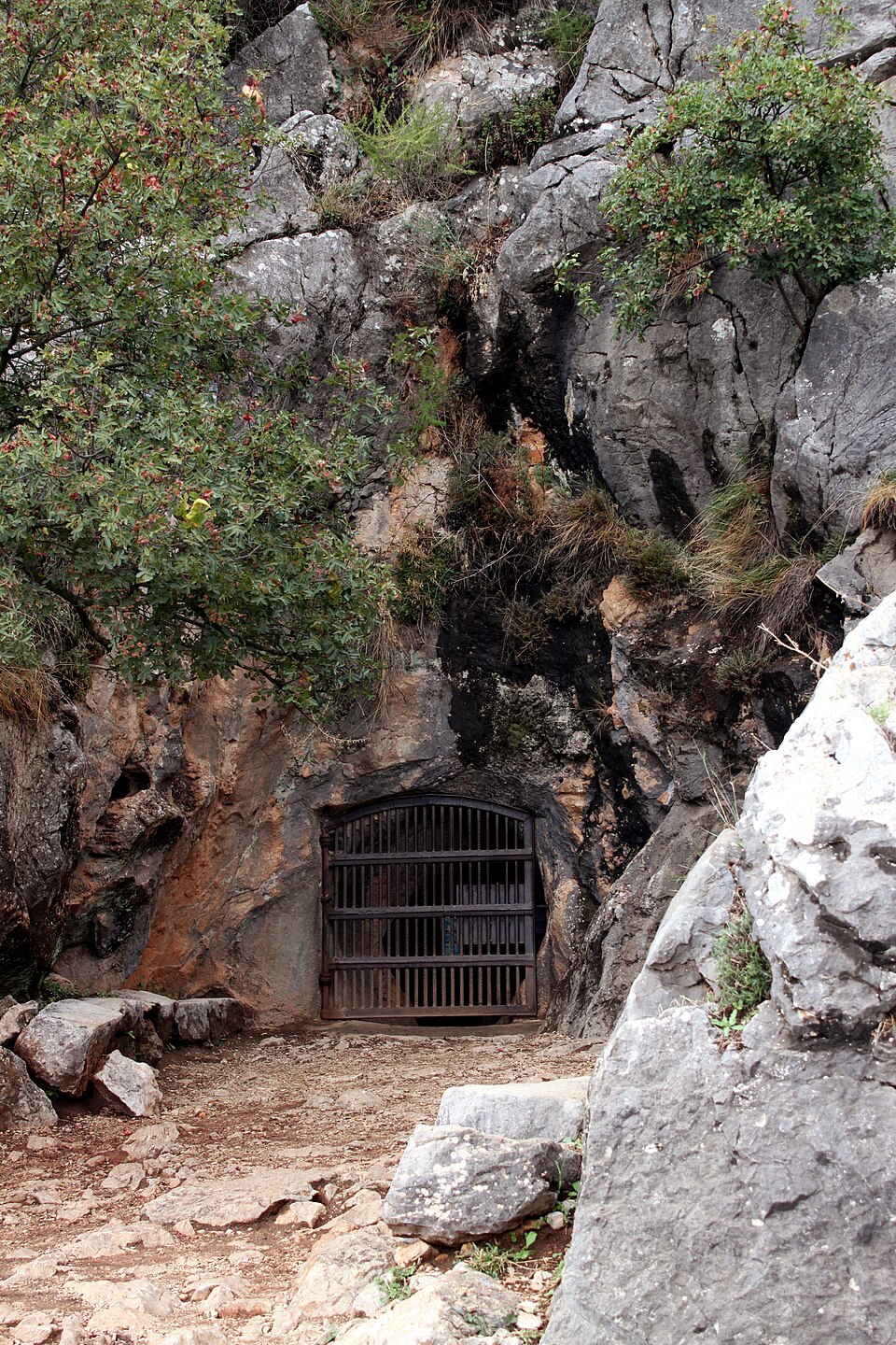 Cueva de la Pileta