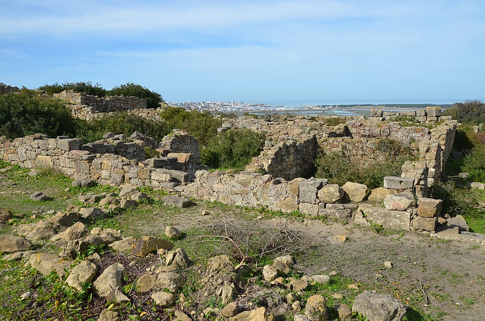 Lixus