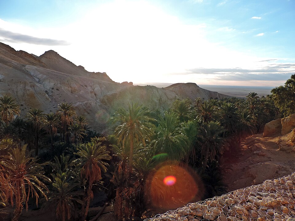 Chebika Oasis